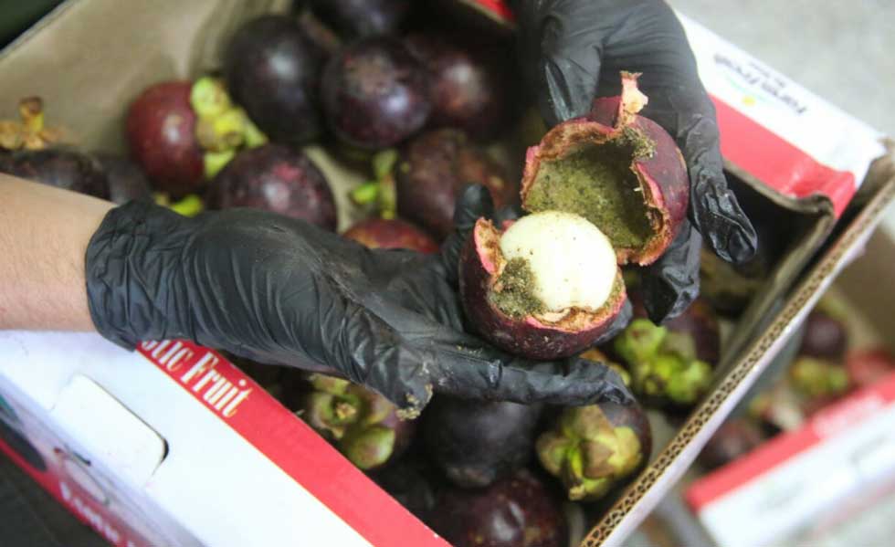 21111143Cocaina-Frutas-Bogota