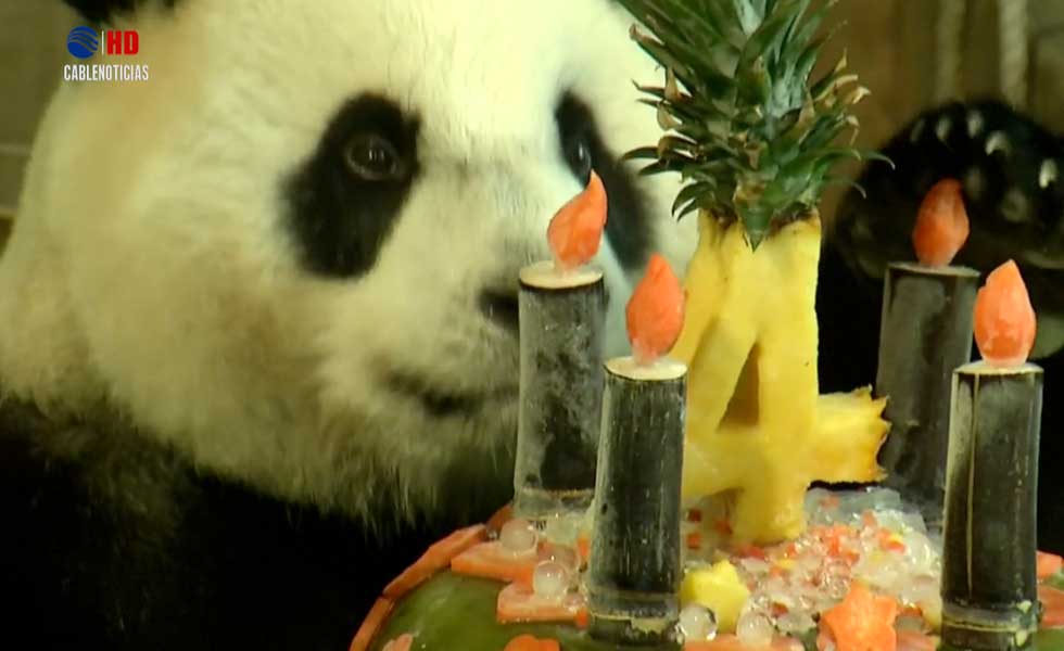 619849Oso-Panda-Cumpleanos-Taiwan-Reuters