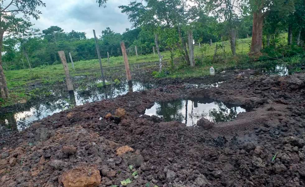 8121612Ataque-Atentado-Cano-Limon-Arauca