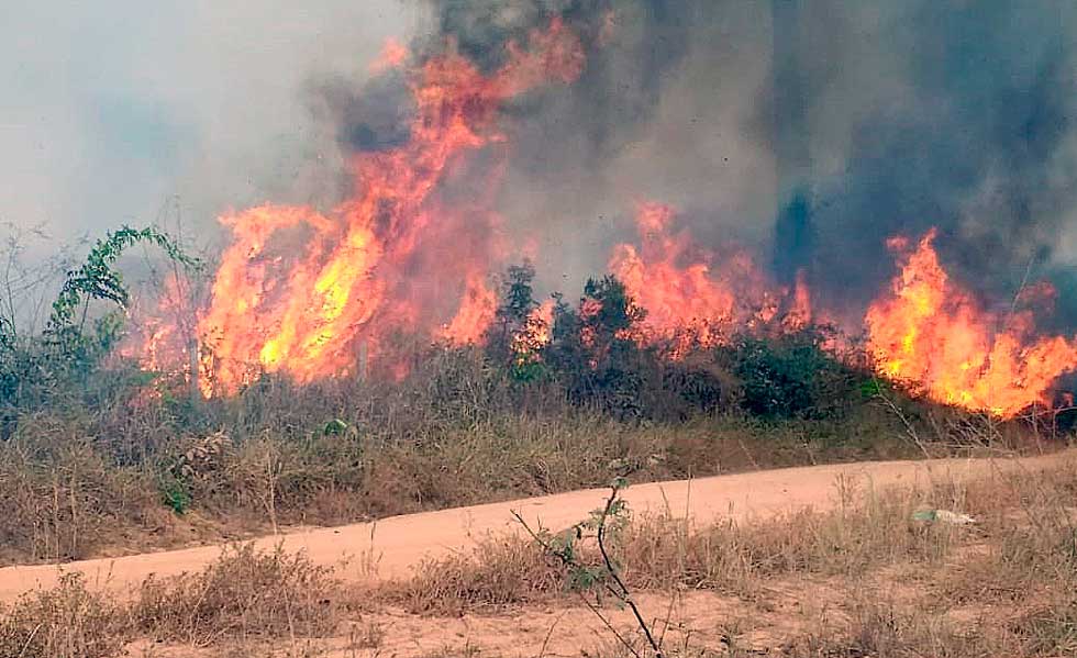 23717Incendio-Amazonia-Rondonia-Brasil-EFE