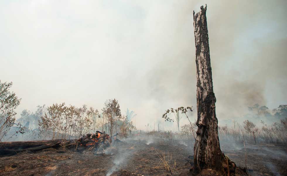 24172010Incendio-Amazonas-Efe