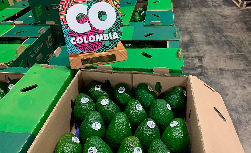 Aguacates-Hass-Colombia-Tw