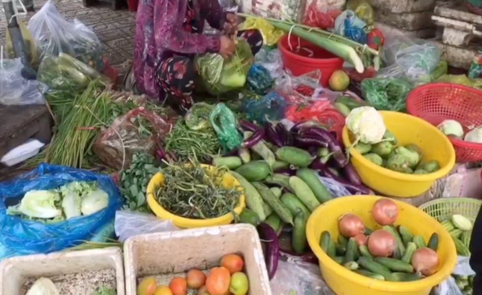 plaza-mercado-comida-verduras-dnp-cap