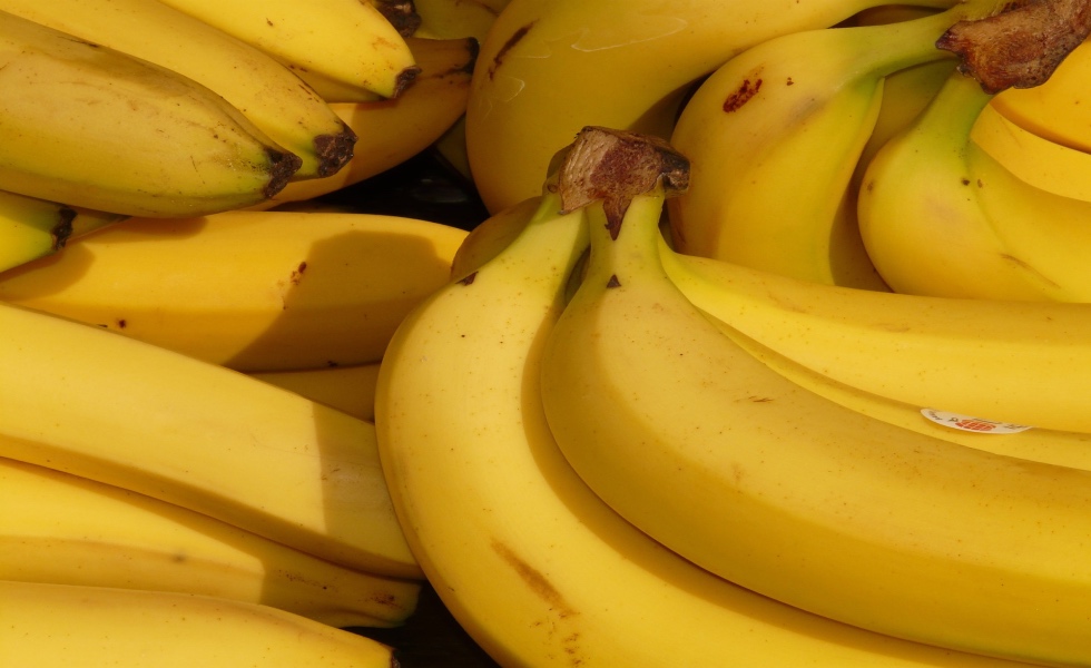 Banano-Exportacion-Colombia-GSDU