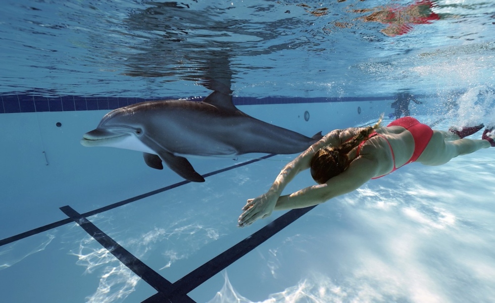 delfin-robot-piscina-edge-innovations