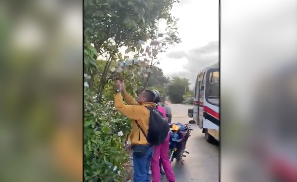 Foto: Captura de pantalla