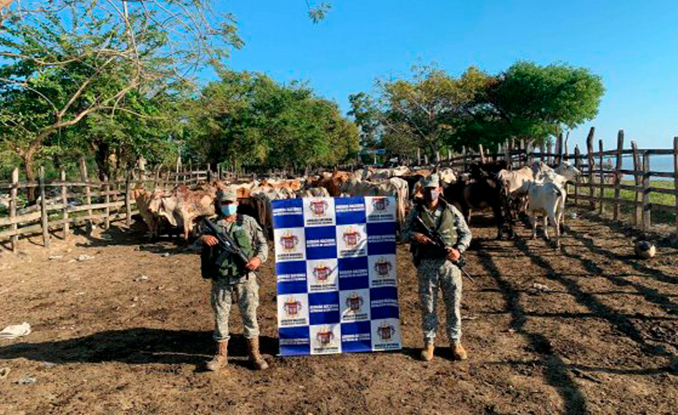 Foto: Armada de Colombia