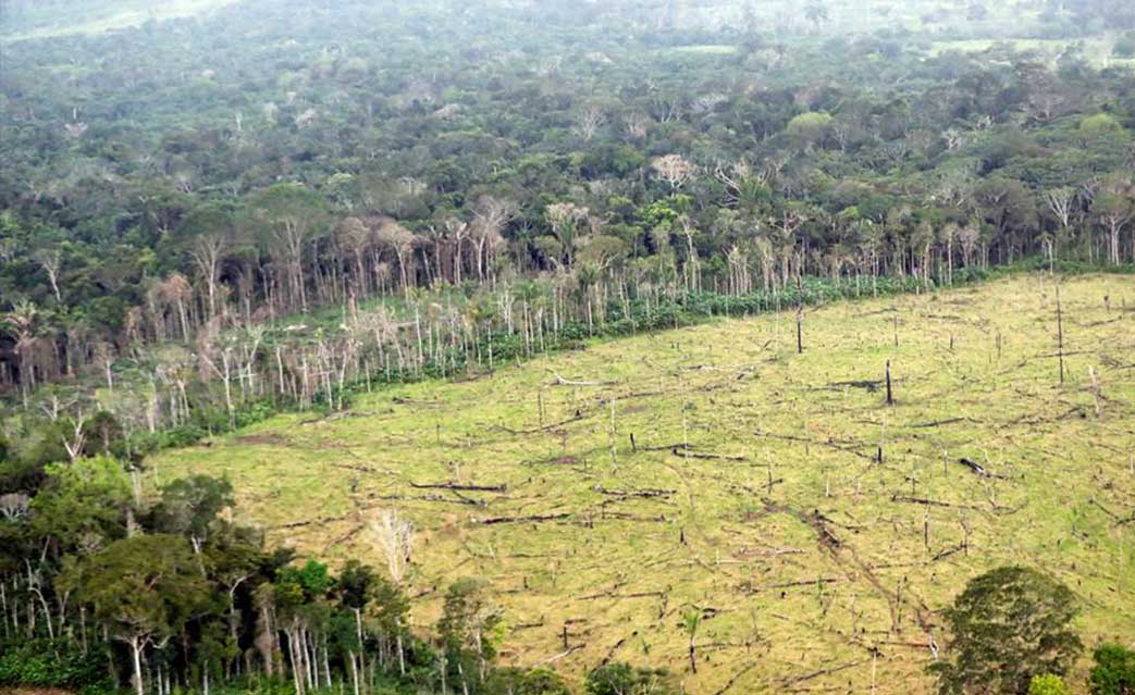 Deforestación-Colombia-2022