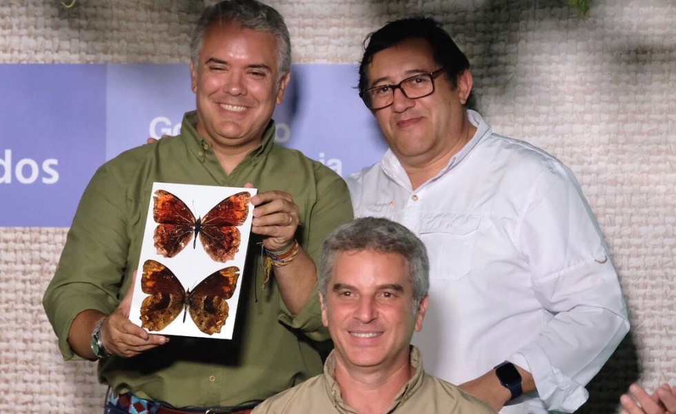 Mariposa Nombre Duque