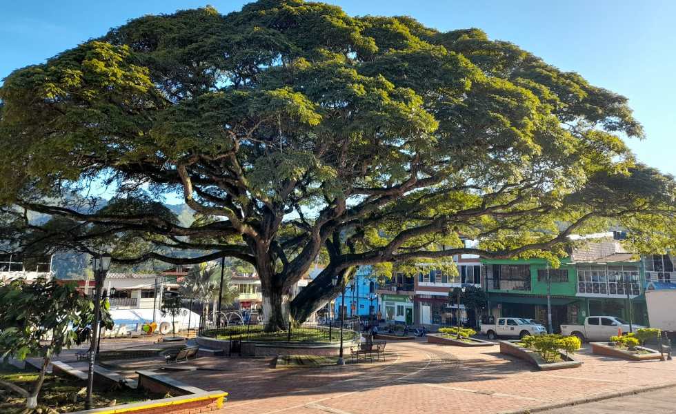 Landázuri, Santander - Foto: @LeonLondoo7