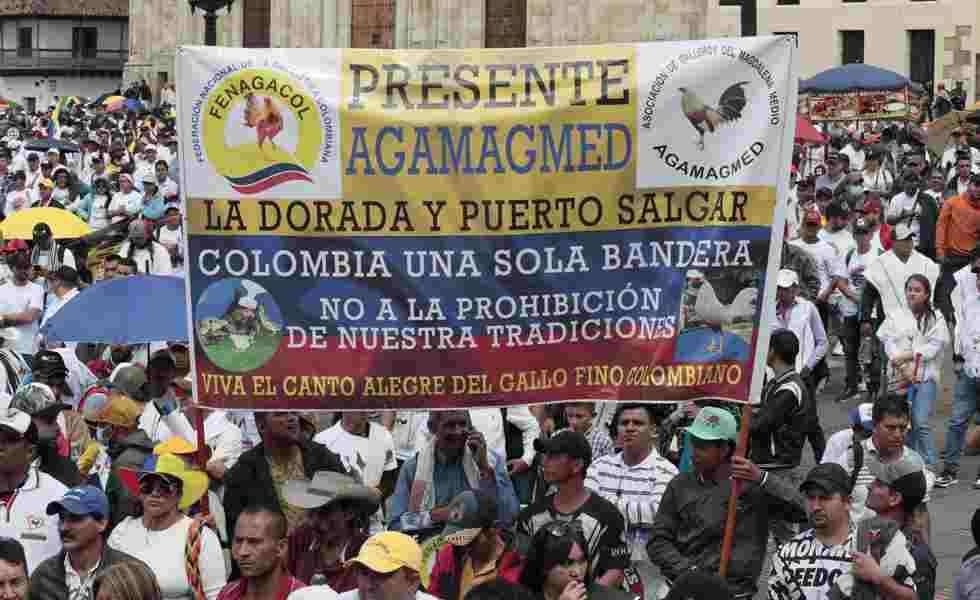 protesta contra prohibición de peleas de gallos