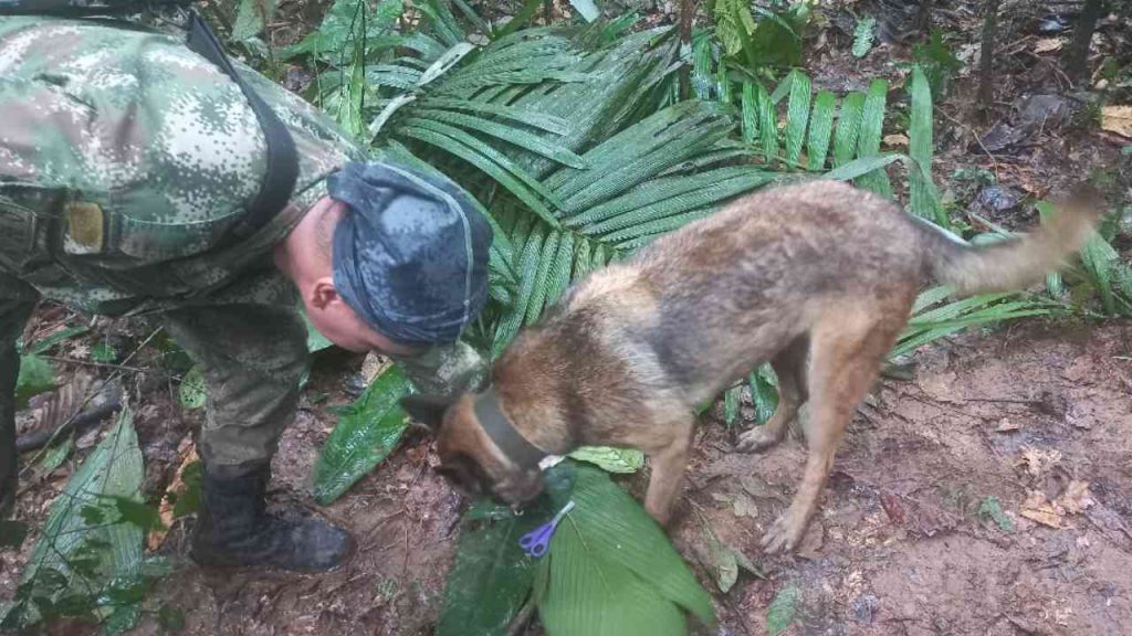 Hallan con vida a los cuatro niños desaparecidos en el accidente aéreo en el Guaviare.