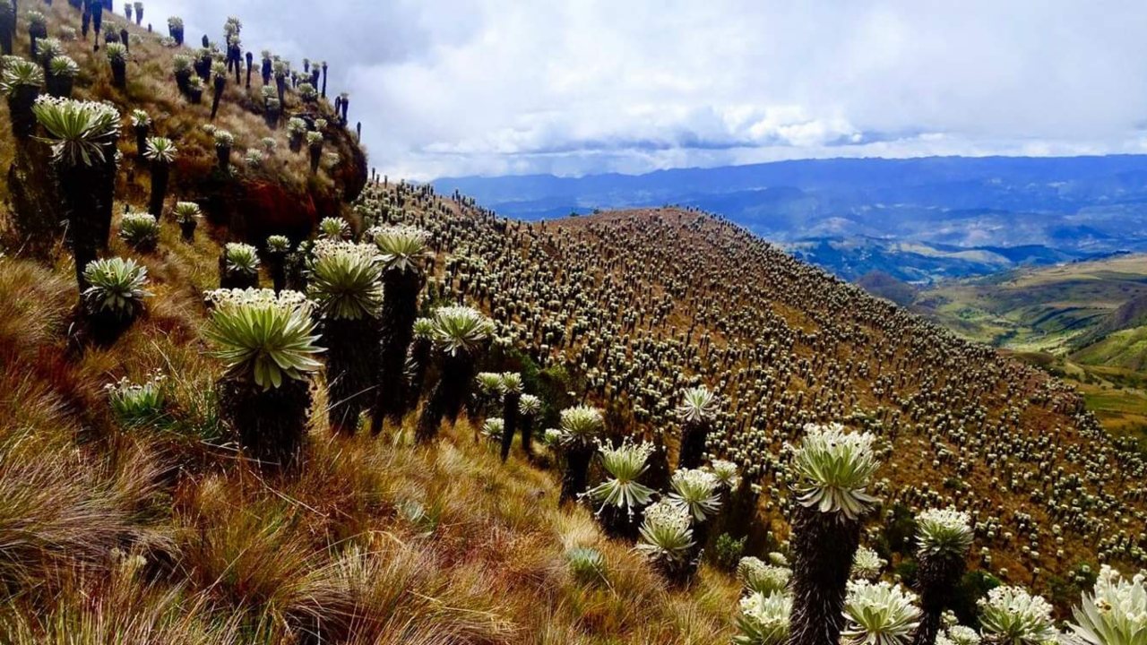 Imagen cortesía: Ecolodge Chunzua Tuche