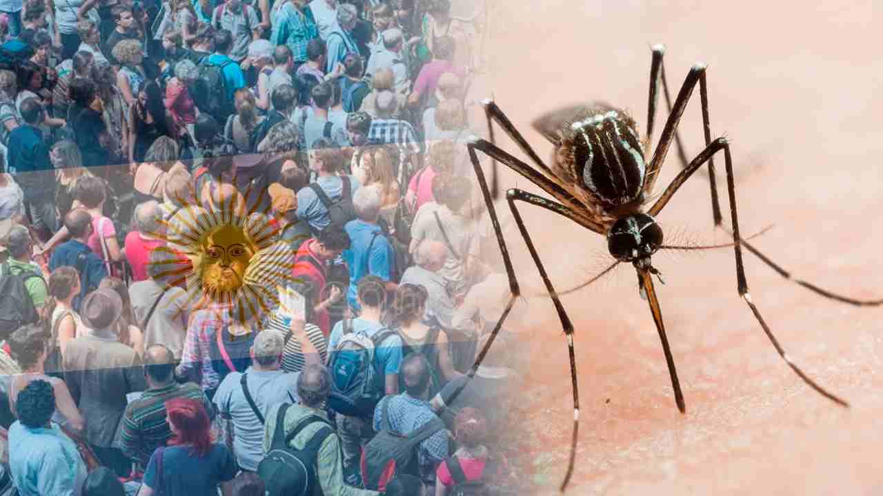 brote-dengue-argentina-cablenoticias